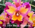 Rlc. Dick Smith Paradise